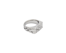 Lade das Bild in den Galerie-Viewer, AB Destructed Earth Ring - ABvintage
